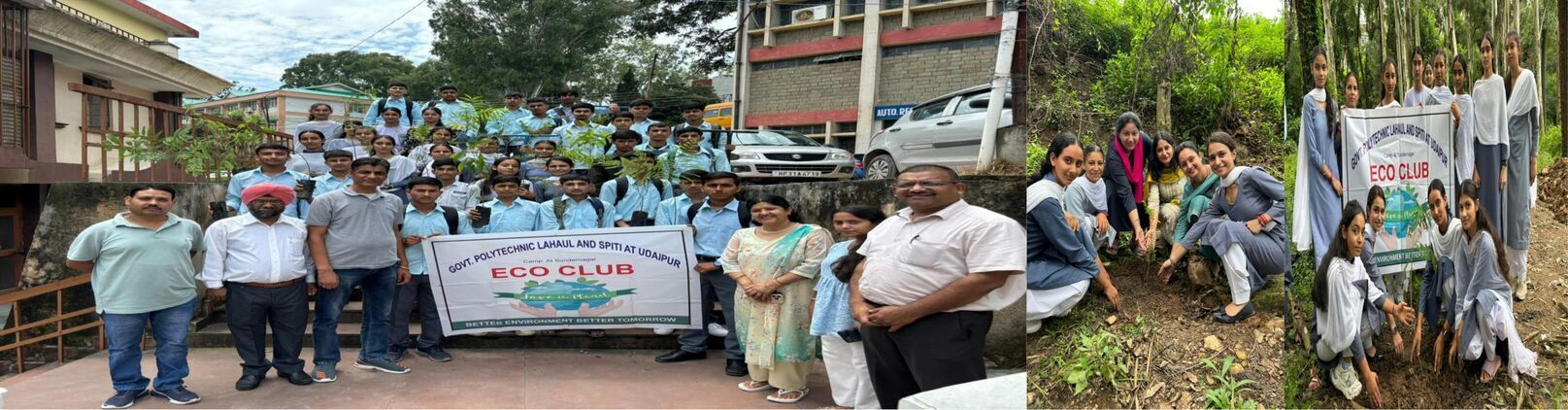 tree plantation drive